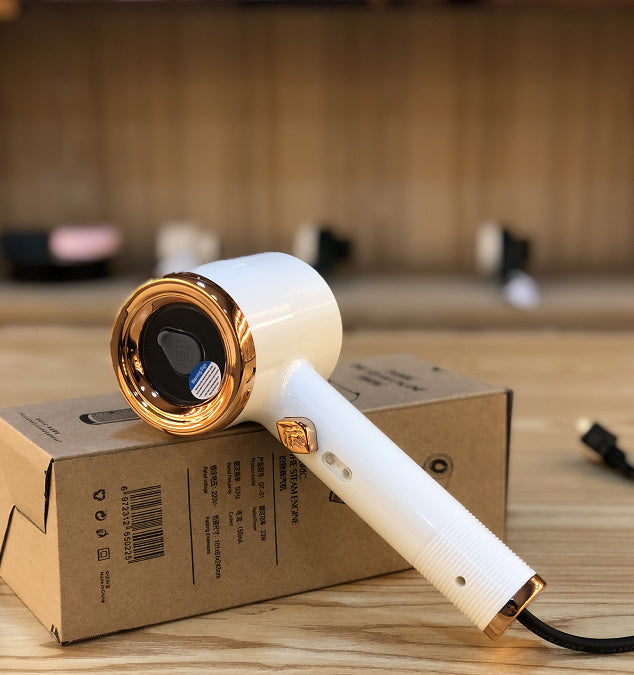 Portable Clothes Steamer